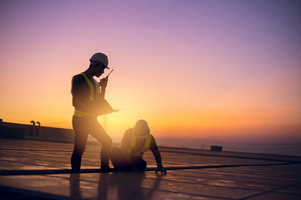 Best Roof Moss and Algae Removal  in Ellerslie, GA